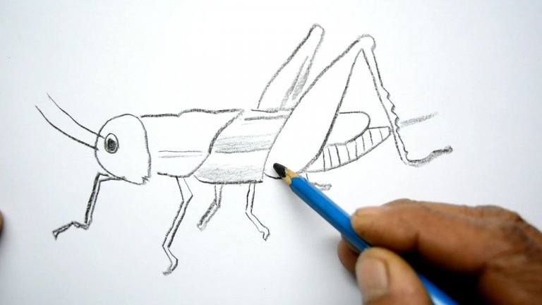 نقاشی ساده کودکانه ملخ