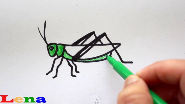 نقاشی ساده کودکانه ملخ
