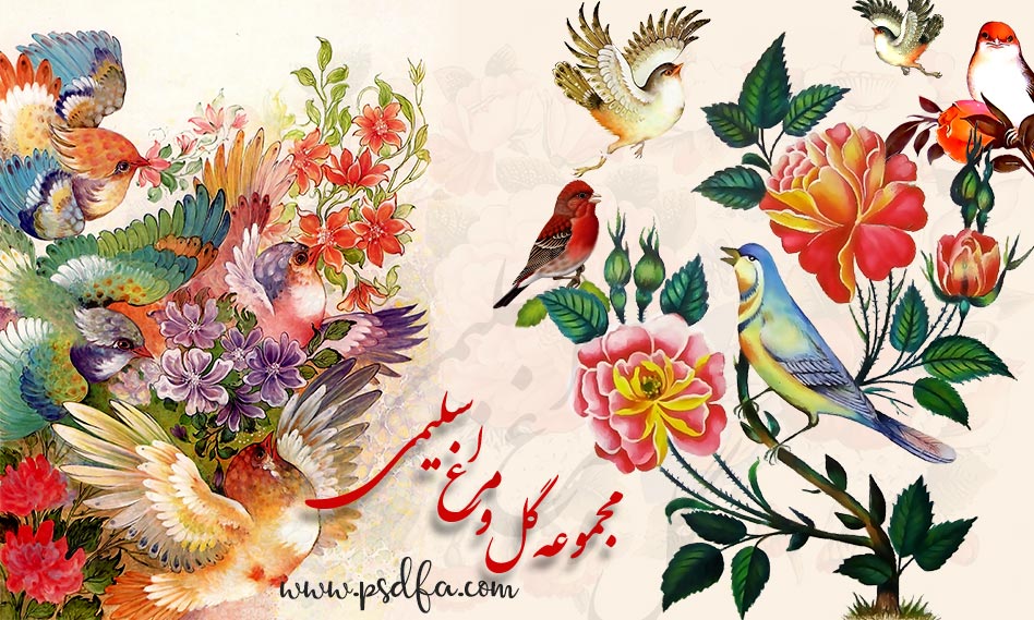 نقاشی گل و مرغ با کیفیت بالا