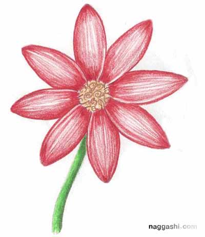 نقاشی گل با مداد رنگی برای نوجوانان