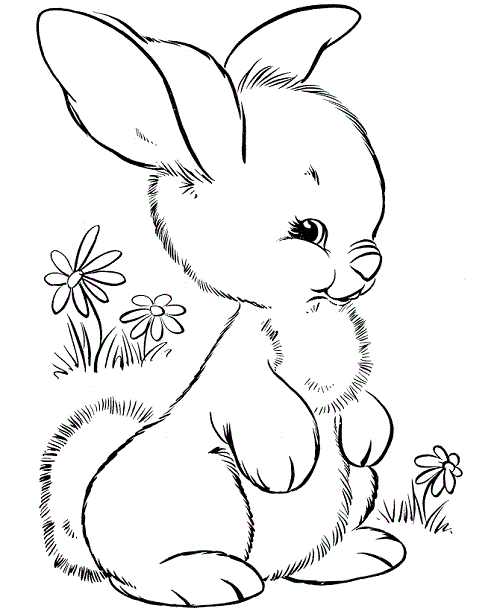 نقاشی کودکانه خرگوش ناز
