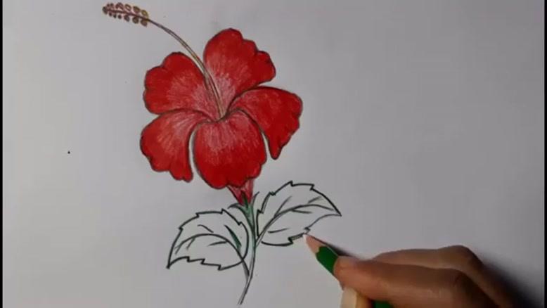 طرح نقاشی گل ساده با مداد رنگی