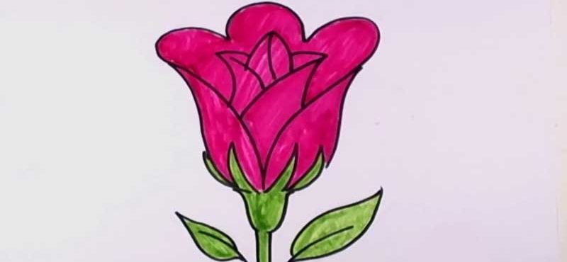 نقاشی کودکانه ی گل رز