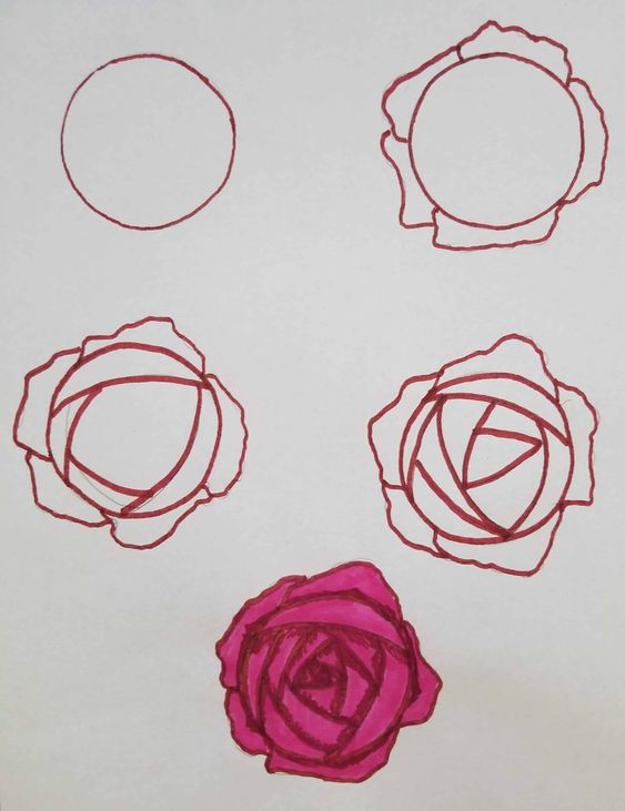 نقاشي گل رز ساده