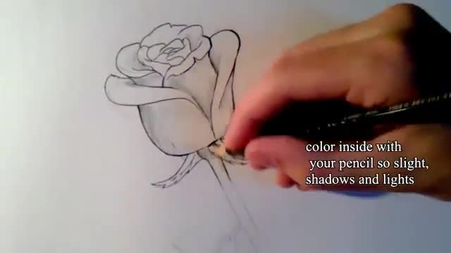 طراحی گل رز ساده با مداد سیاه