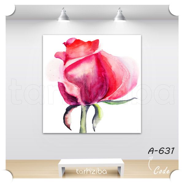 عکس نقاشی گل رز زیبا
