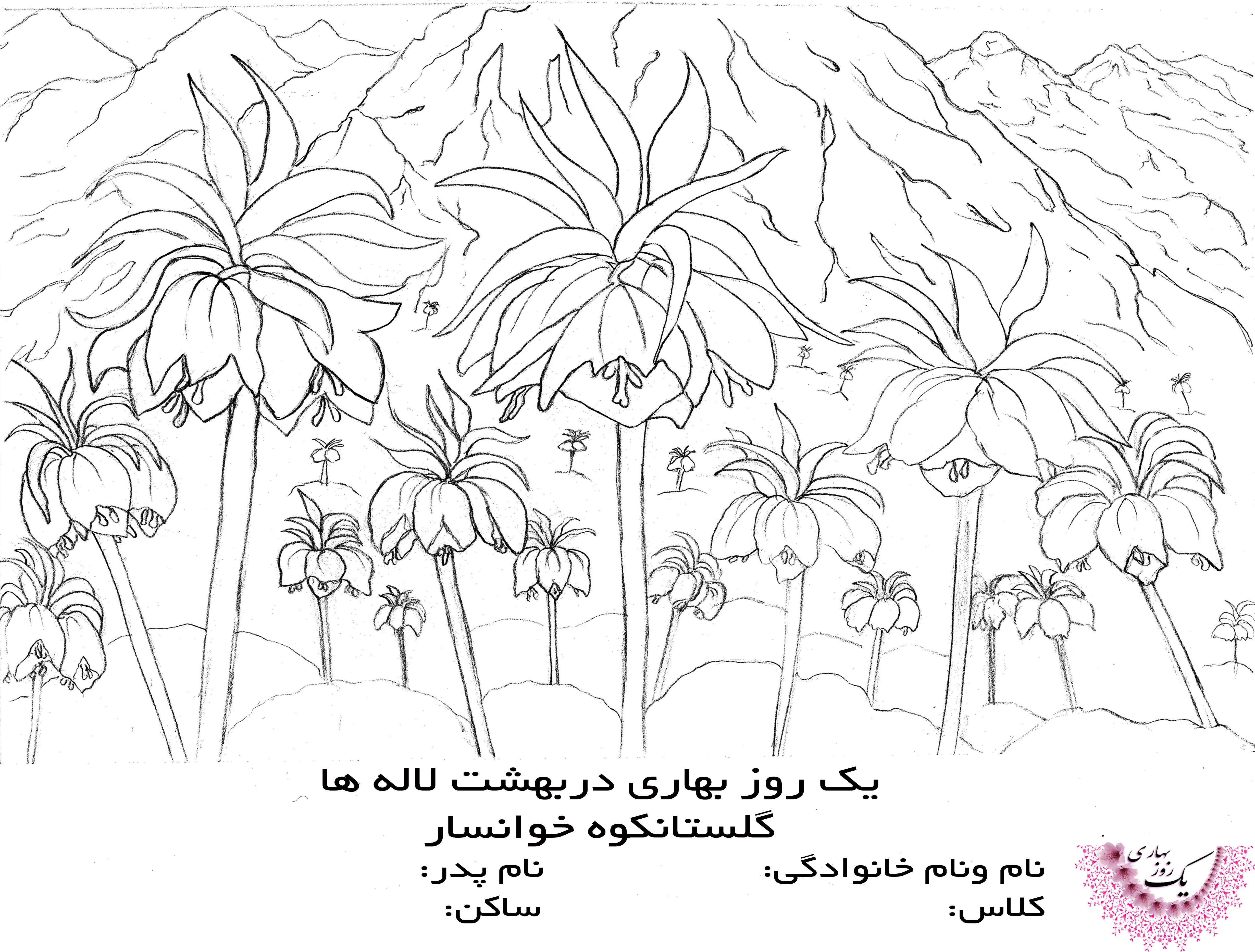 نقاشی گل لاله ی واژگون
