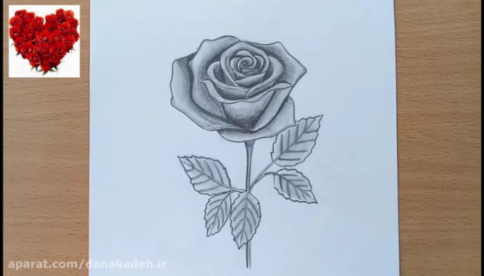 نقاشی گل رز ساده با مداد رنگی