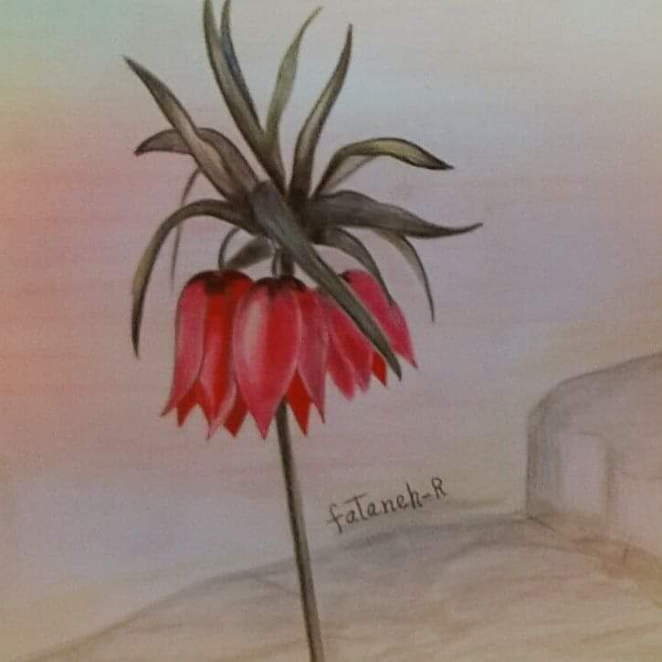 نقاشی گل لاله ی واژگون