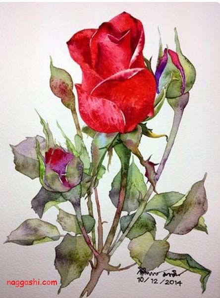 نقاشی گل رز قرمز ساده