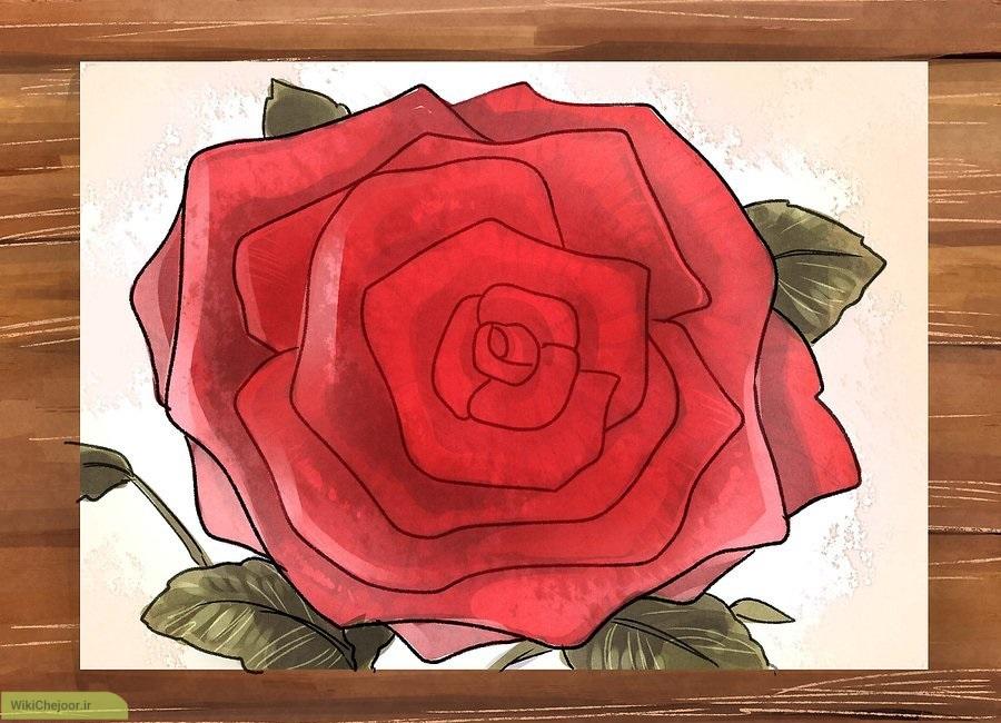 نقاشی گل رز قرمز با مداد رنگی