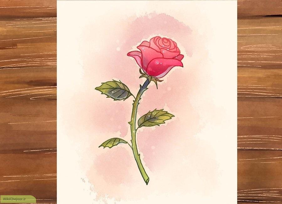 نقاشی گل رز قرمز ساده