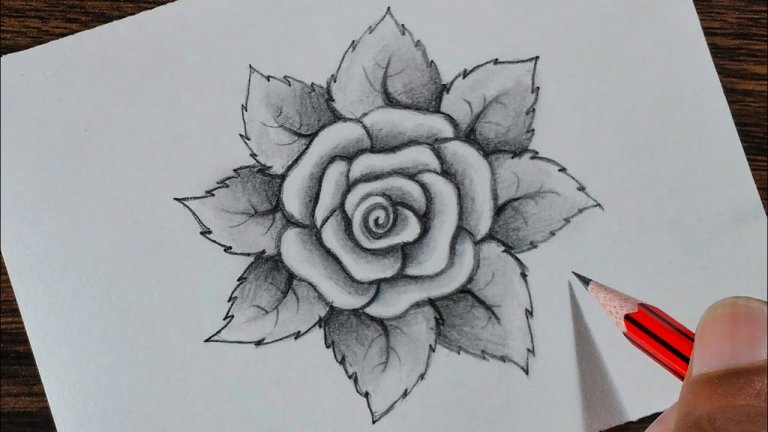 نقاشی گل رز با مداد رنگی ساده