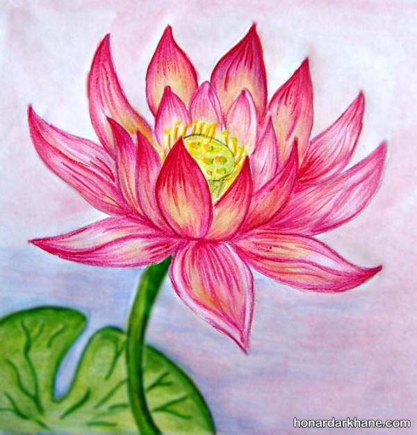 نقاشی سبد گل ساده با مداد رنگی