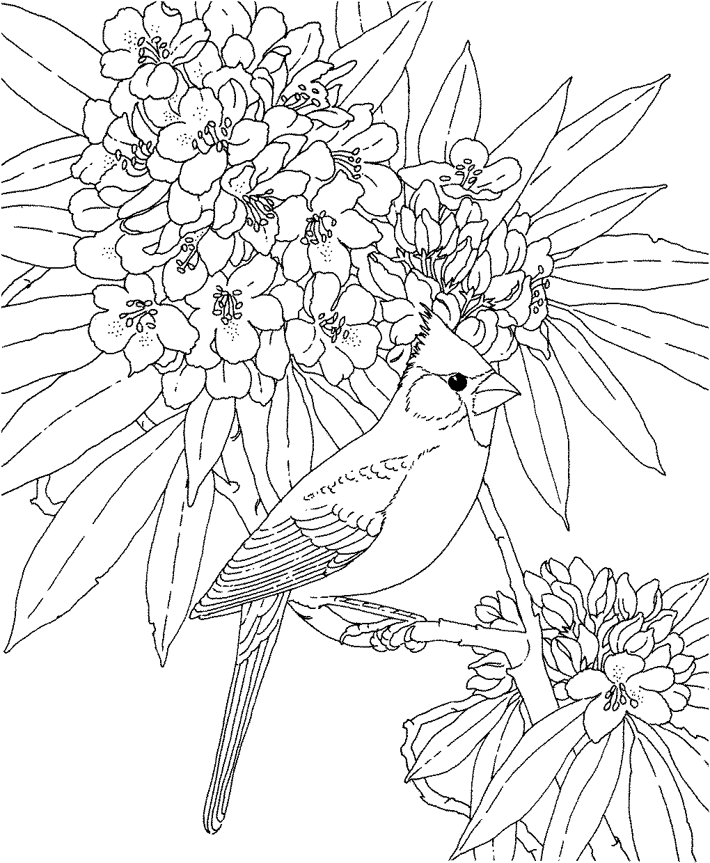 نقاشی گل و مرغ ساده