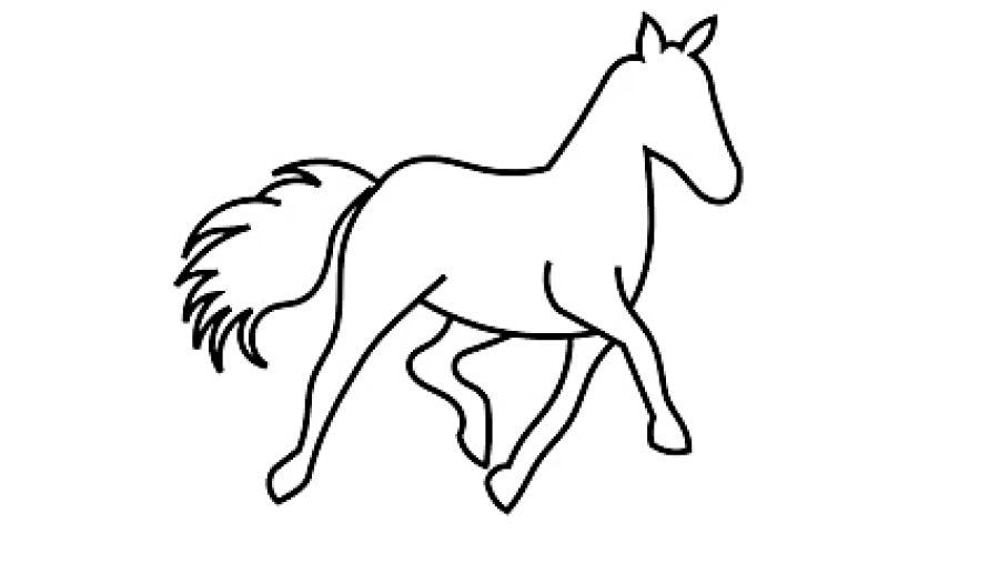 نقاشی اسب حرفه ای