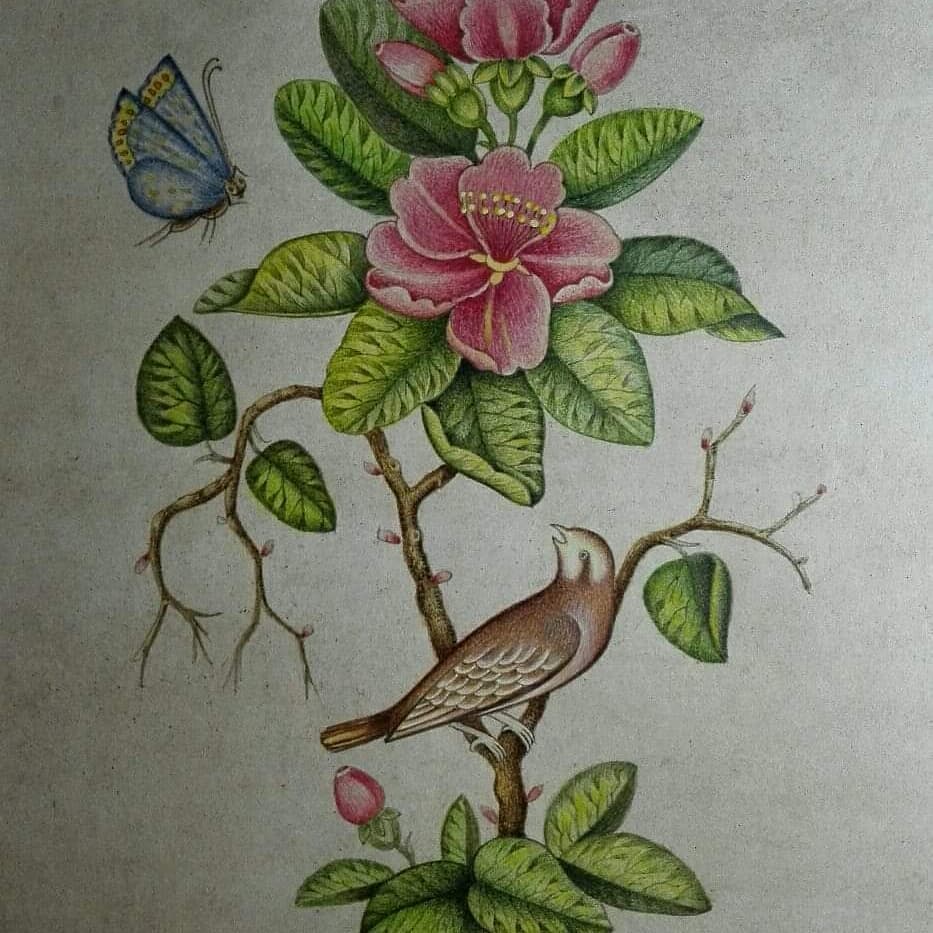 نقاشی ایرانی گل و مرغ