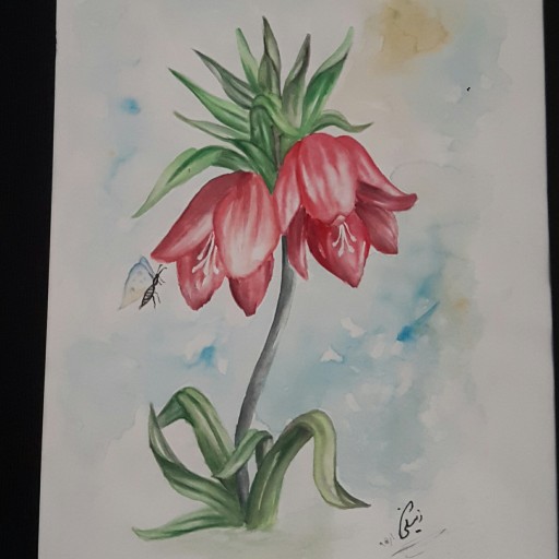 نقاشی آبرنگ گل لاله