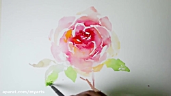 نقاشی گل رز با آبرنگ