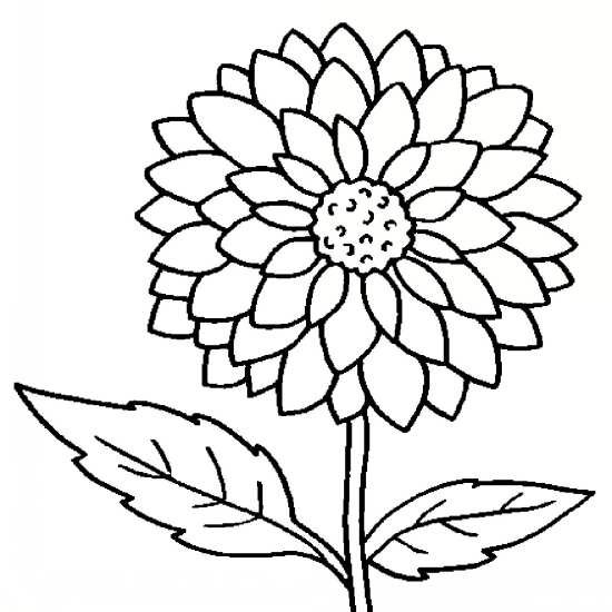 نقاشی از گل های ساده