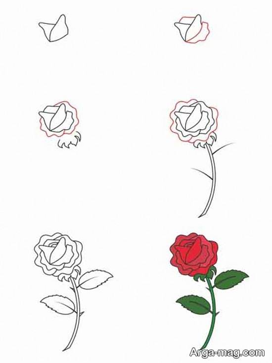 نقاشی گل رز آسان
