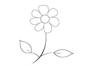 نقاشی گل های ساده و زیبا