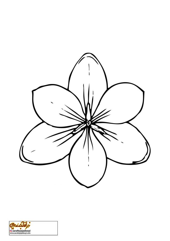 نقاشی گل های ساده و آسان