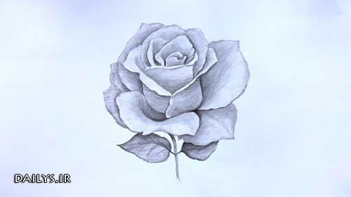 عکس نقاشی گل زیبا و ساده