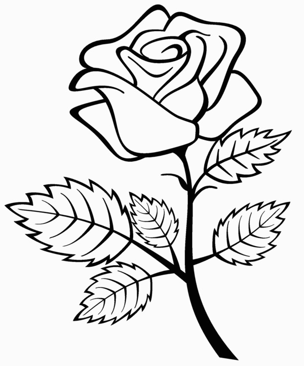 نقاشی گل زیبا و ساده