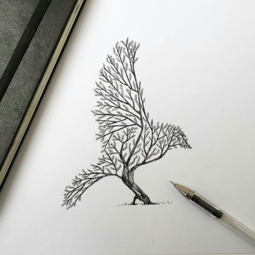 نقاشی با خودکار ساده
