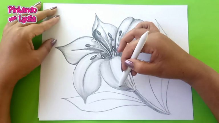 نقاشی گل با مداد سیاه ساده