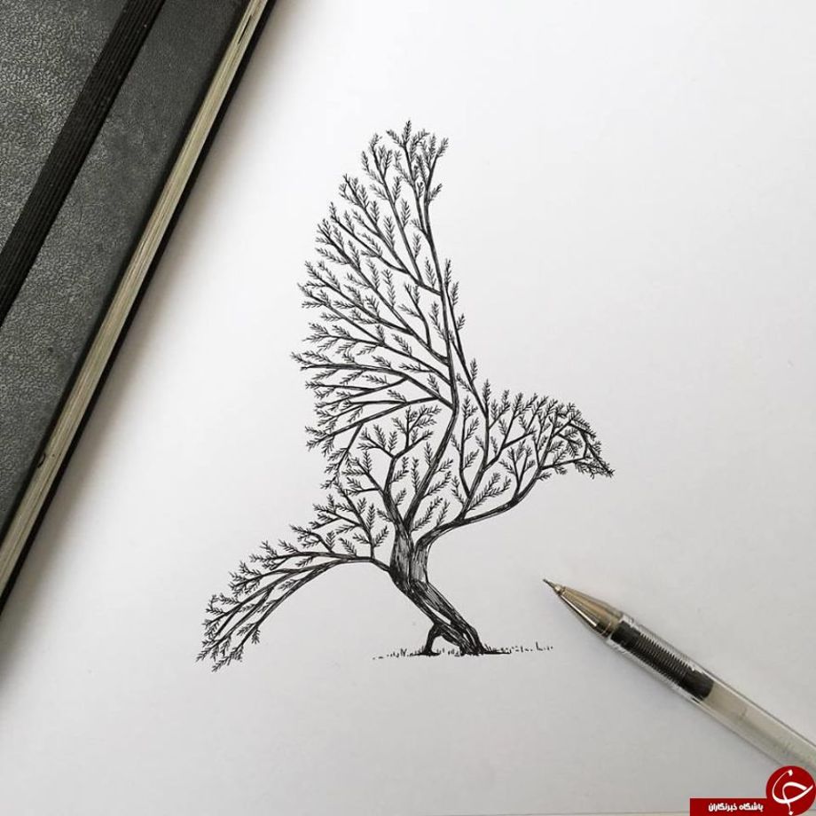 نقاشی پرنده خیالی با مداد رنگی