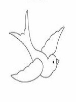 نقاشی پرنده ی در حال پرواز