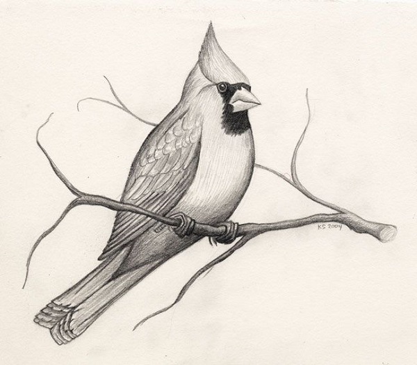 نقاشی پرنده خیالی کلاس هشتم