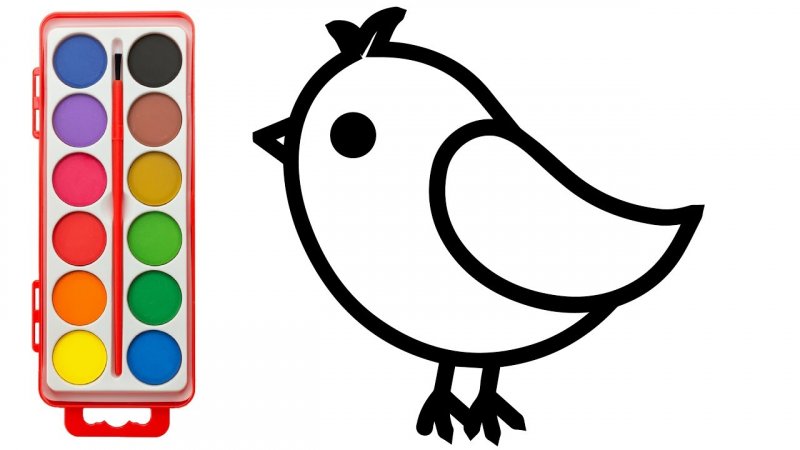 آموزش نقاشی پرنده برای کودکان