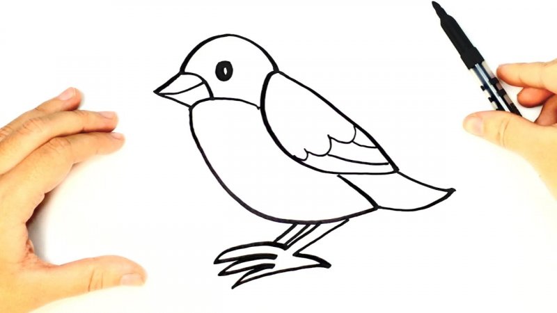 نقاشی پرنده درحال پرواز برای کودکان