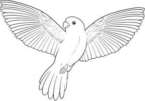 نقاشی پرنده ی در حال پرواز