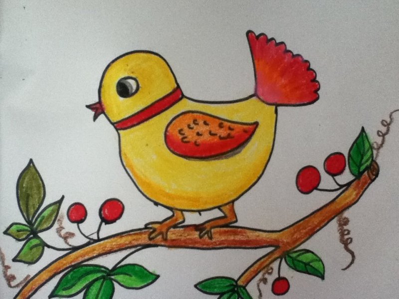 نقاشی کودکانه از پرنده ها