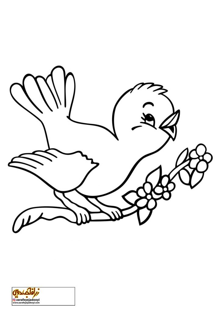 نقاشی پرنده درحال پرواز برای کودکان