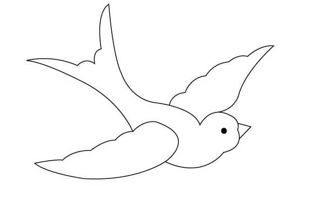 عکس نقاشی پرنده پرستو
