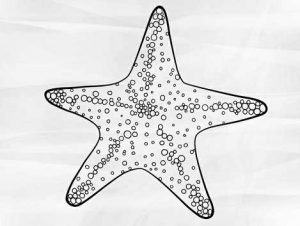 نقاشی ستاره دریایی کودکانه