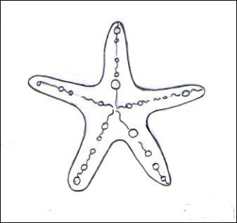 نقاشی ستاره دریایی کارتونی