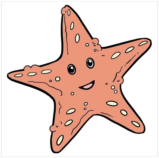 نقاشی ستاره دریایی زیبا