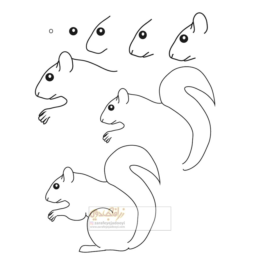 نقاشی ساده سنجاب برای کودکان