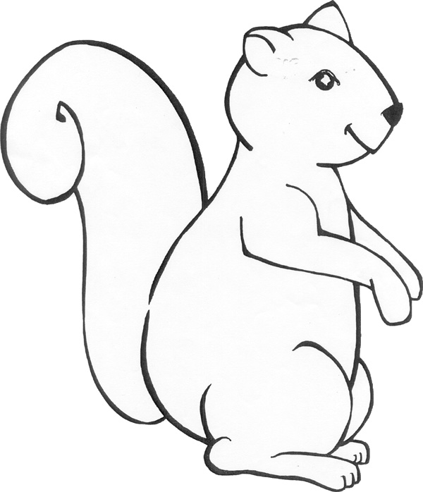 نقاشی ساده سنجاب برای کودکان