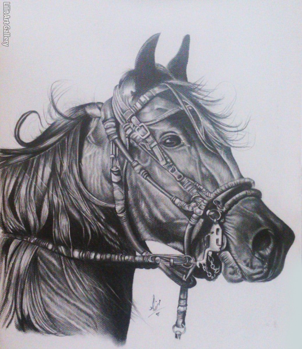 طراحی اسب با مداد سیاه