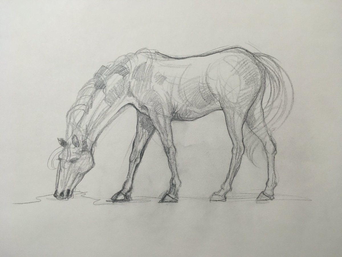 طراحی اسب ساده