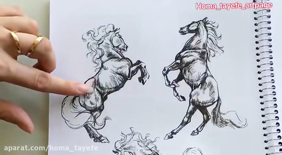 طراحی ساده اسب با مداد
