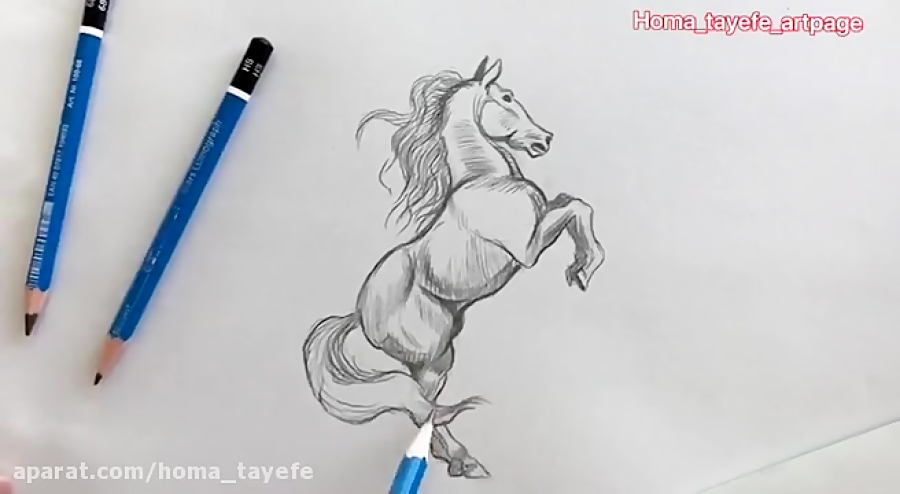 طراحی اسب با مداد سیاه ساده