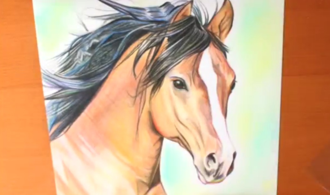 نقاشی سر اسب با مداد رنگی